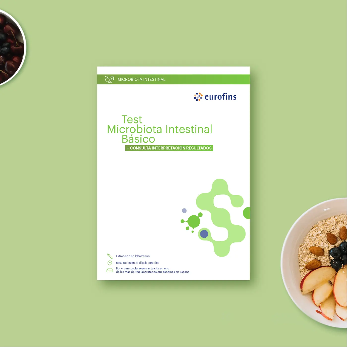 Test Microbiota Intestinal Básico - Imagen 3