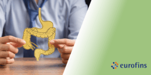 Beneficios de la cerveza sin alcohol: cómo puede ayudar a mejorar tu microbioma intestinal