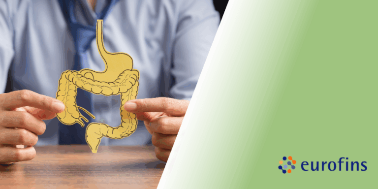 Beneficios de la cerveza sin alcohol: cómo puede ayudar a mejorar tu microbioma intestinal
