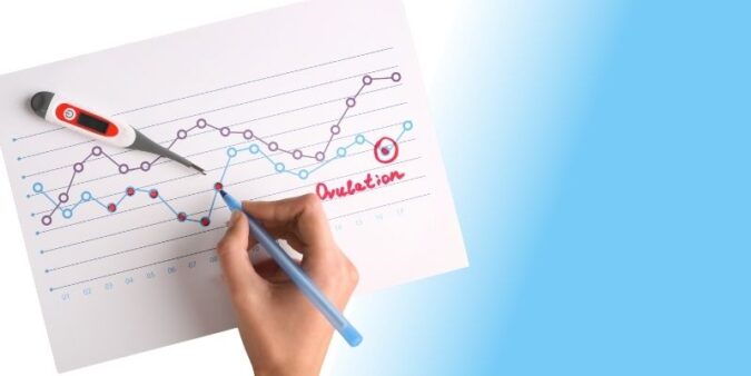la ovulación en la mujer