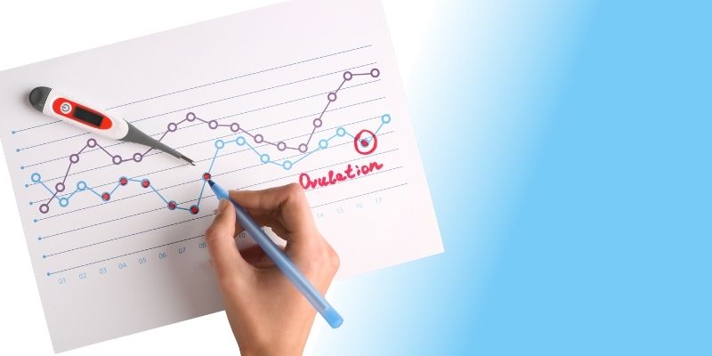 la ovulación en la mujer