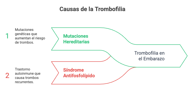 trombofilia embarazo