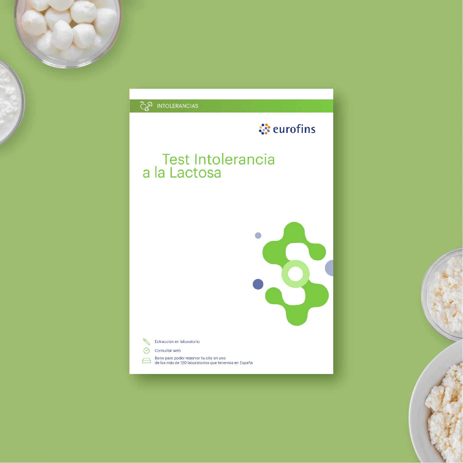 Intolerancia a la lactosa - Imagen 2