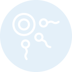 Compatibilidad<br>Genética