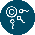 Compatibilidad<br>Genética