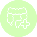 Microbiota<br>Intestinal